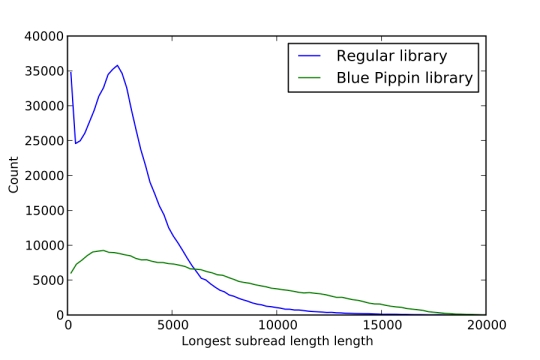 Length distribution of longest subreads from the sequenced libraires before and after BluePippin cleanup